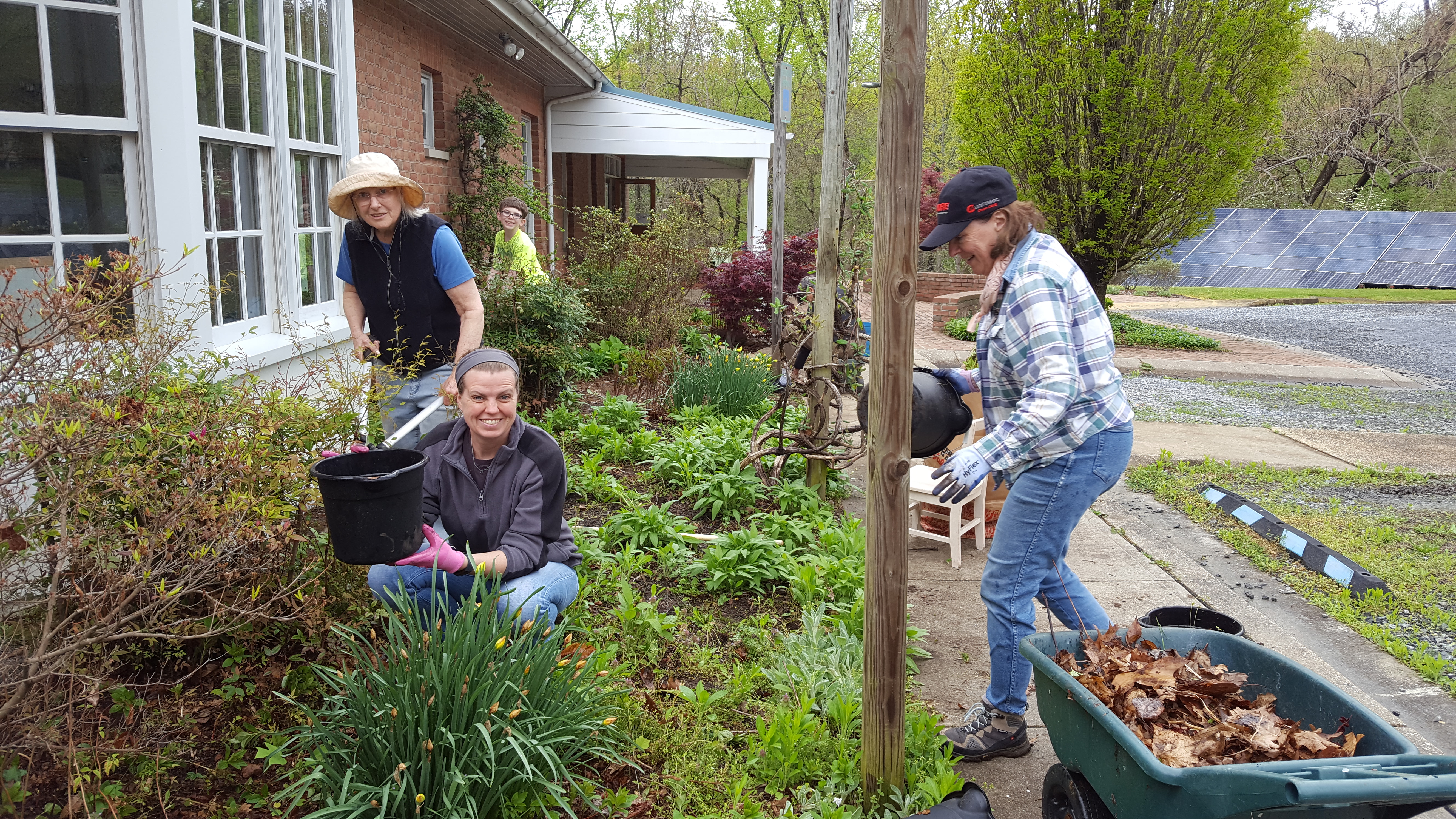 Garden cleanup