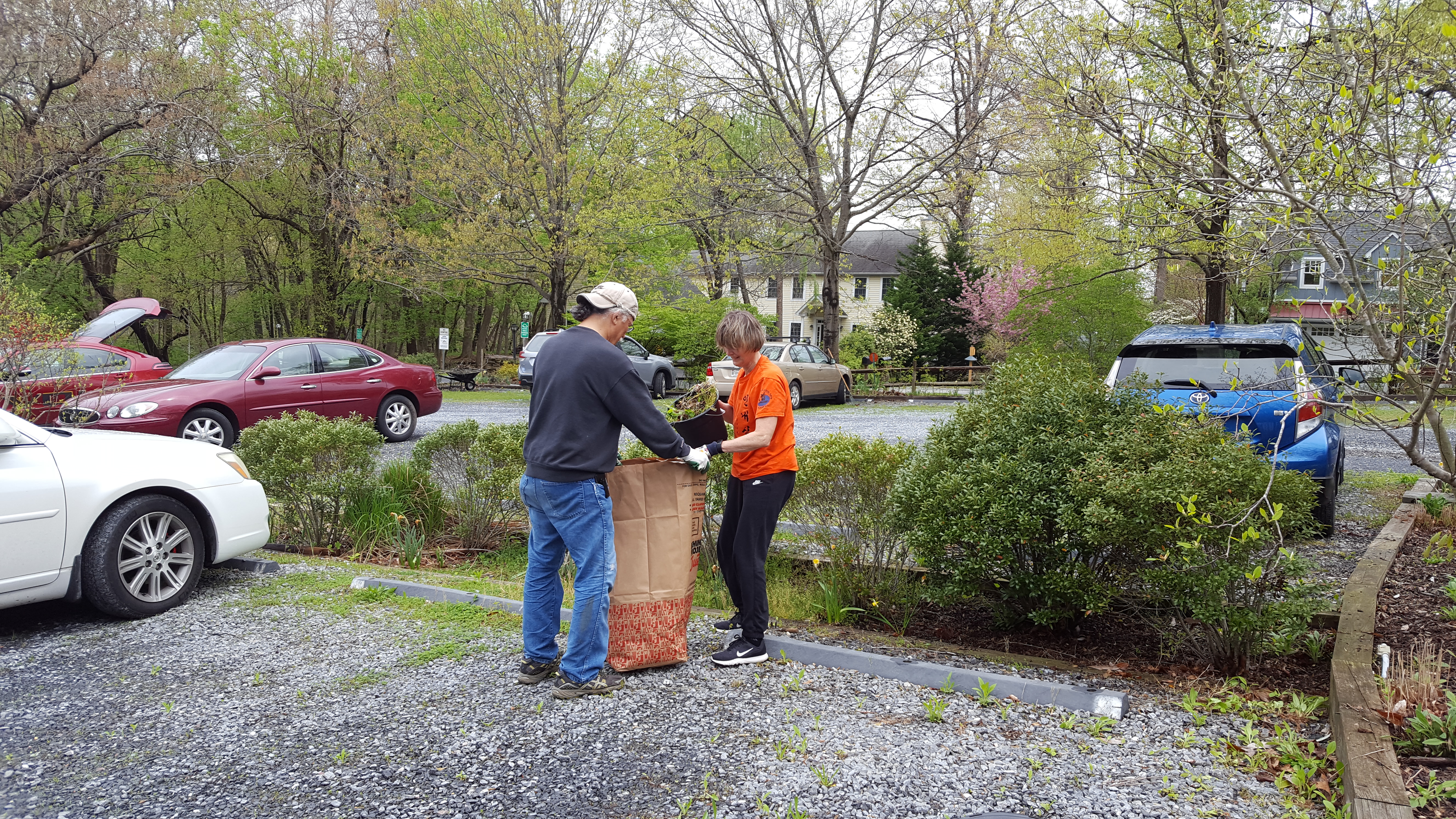 Garden cleanup