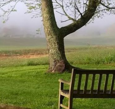 DaySpring Retreat scene of a bench overlooking misty fields