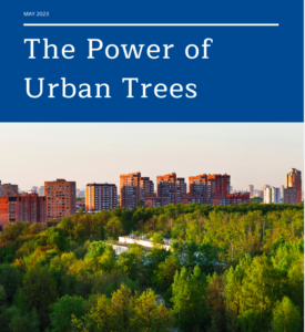 The Power of Urban Trees - 
