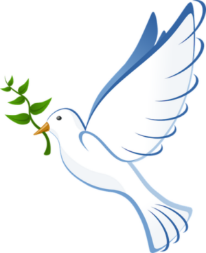Dove with laurel