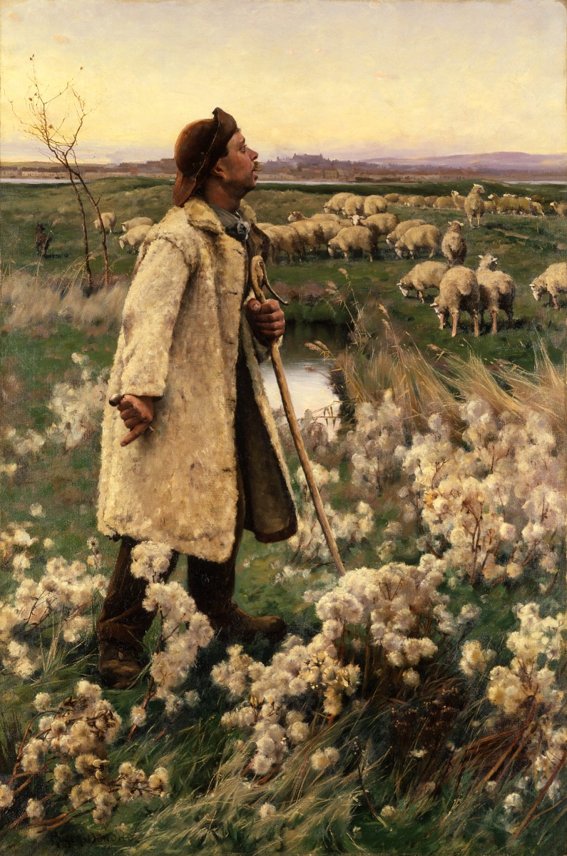 An African-American shepherd with his flock, painted in 1884.